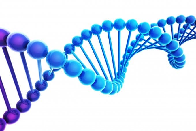 흰 배경 위에 파란색과 보라색 구슬을 이어 만든 DNA 이중나선 3D 모형.