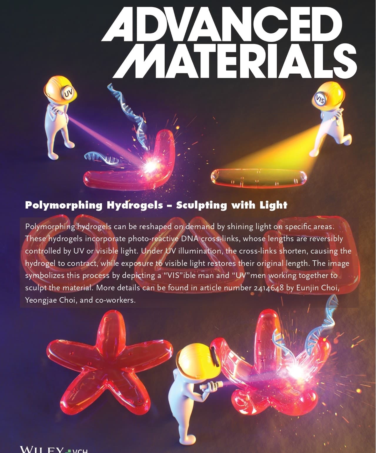 학술지 Advanced Materials 표지. 'UV'와 'VIS'라고 적힌 헬멧을 쓴 캐릭터들이 빛을 쏘아 붉은 수화젤 덩어리를 별·고리 모양으로 바꾸는 장면과 'Polymorphing Hydrogels – Sculpting with Light' 표제가 실려 있다.